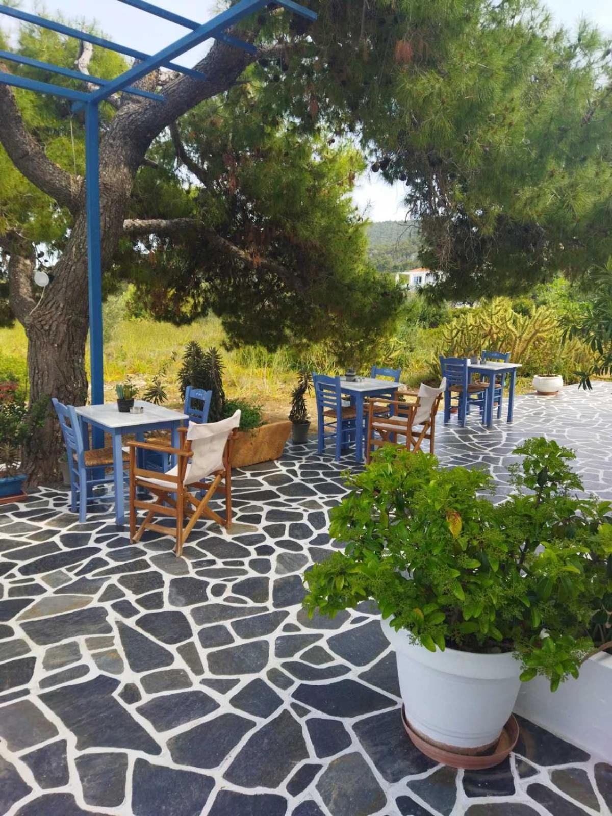 Hotel Flisvos