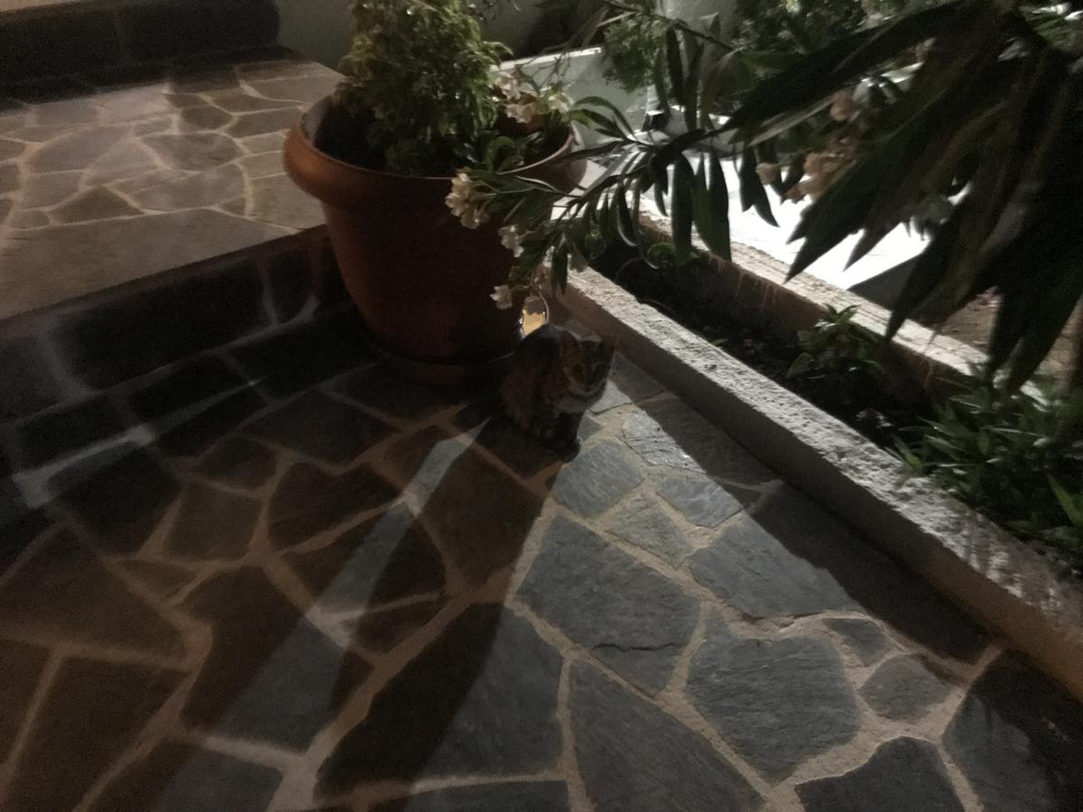Otel Flisvos Megalochori (Agistri)